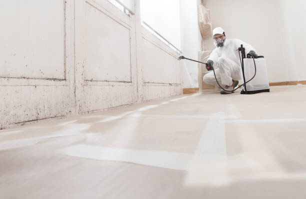 24/7 Emergency Attic Mold Remediation experts in Kingston, WA